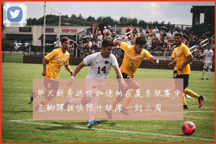 热火新秀迈伦加德纳在夏季联赛中左脚踝扭伤预计缺席一到三周